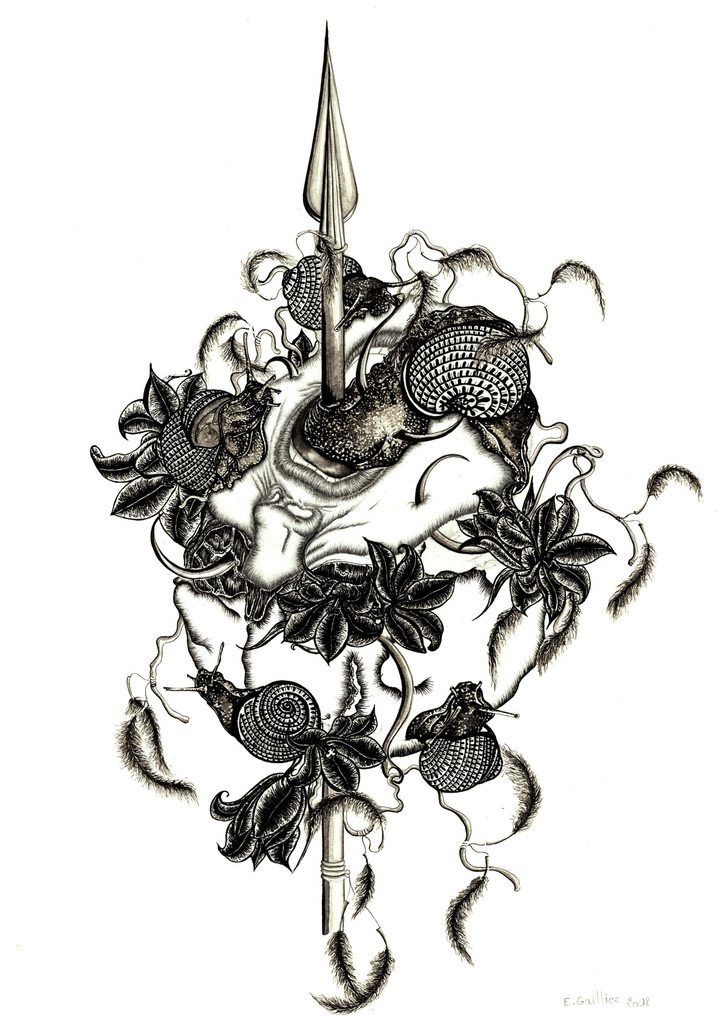 Série Trophées