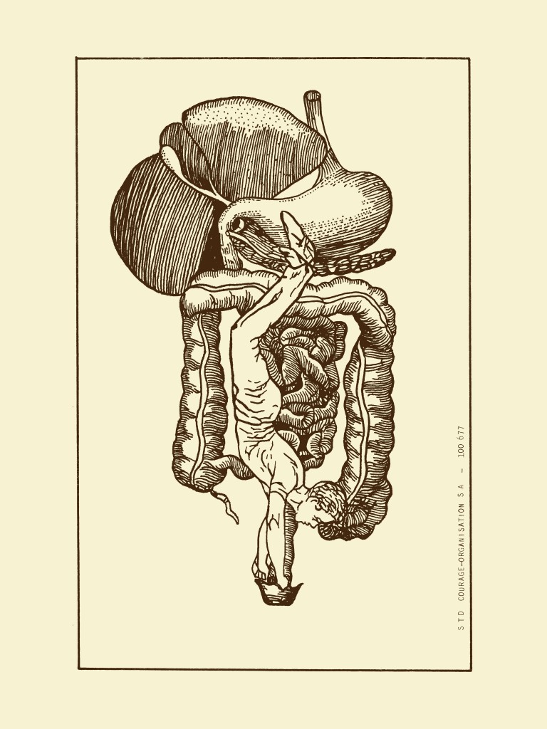 Sans titre, 2017, 40 x 30 cm.